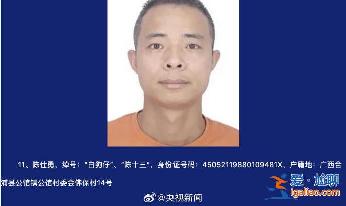 為非作惡稱霸一方 廣西征集陳繼才等人涉黑犯罪線索? 為非作惡稱霸一方 廣西征集陳繼才等人涉黑犯罪線索?