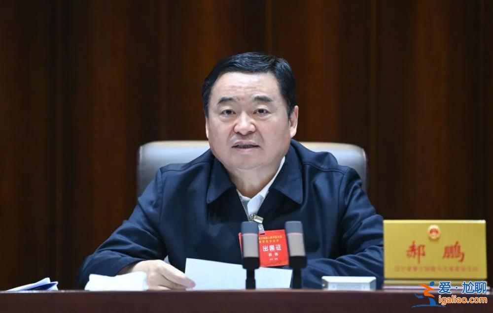 王利波任遼寧省副省長？