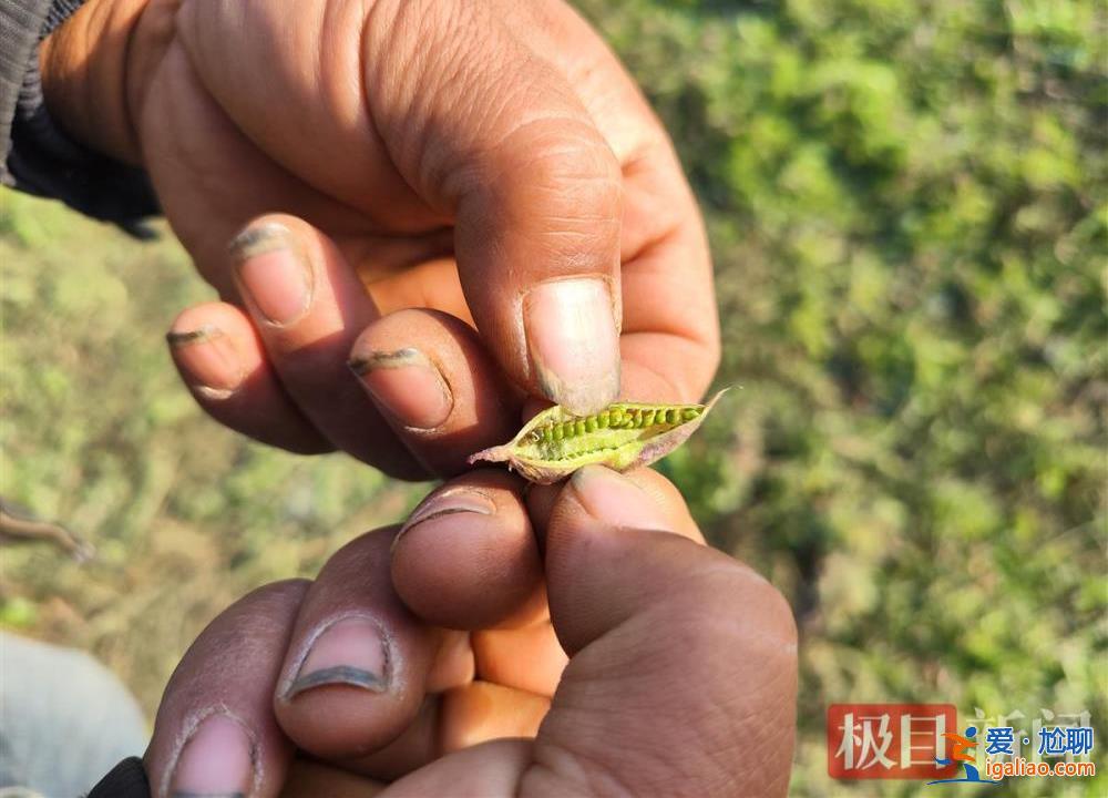有人想讓我退出這塊地？