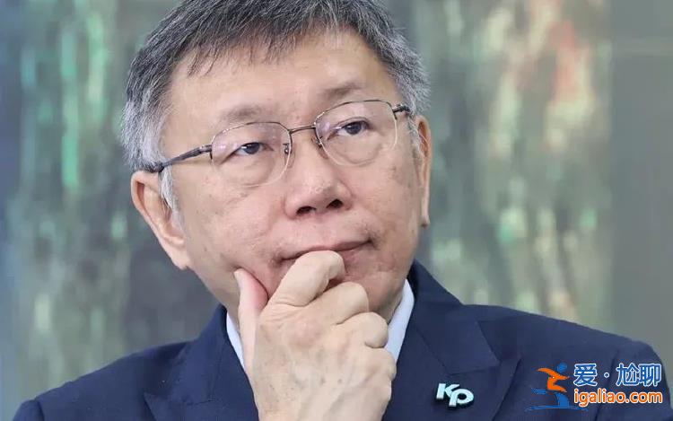 “藍白合”達成 民進黨派系斗爭激烈？