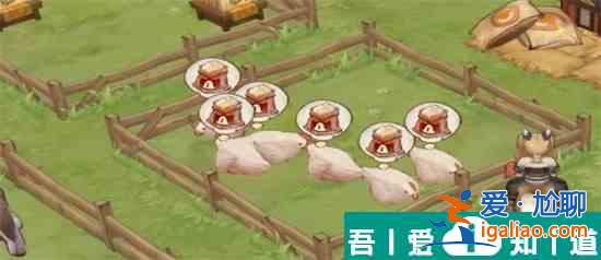 森之國度怎么讓貓靈跟隨 貓靈跟隨指南？