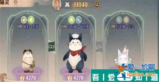森之國度怎么讓貓靈跟隨 貓靈跟隨指南？
