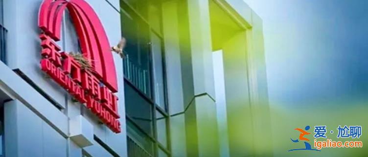 東方雨虹40億拿地47萬轉讓有何疑點 可能存在利益輸送？