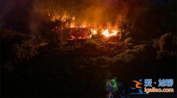 火災有人為自救跳樓？