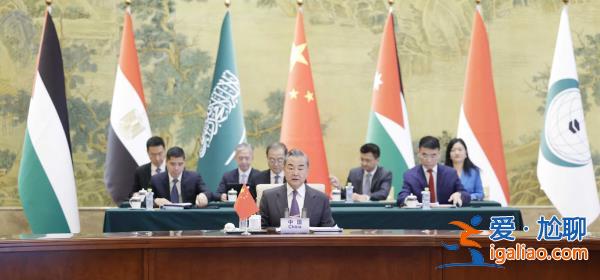 王毅同阿拉伯、伊斯蘭國家外長聯合代表團會談？