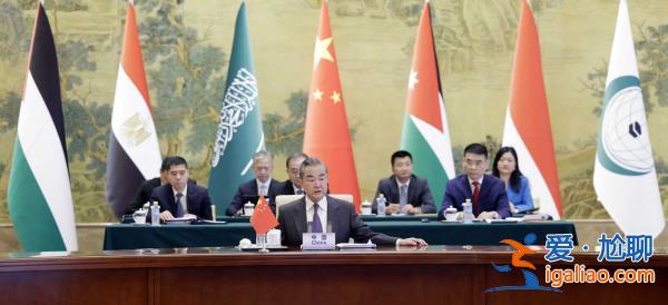 王毅同阿拉伯、伊斯蘭國家外長聯合代表團會談？