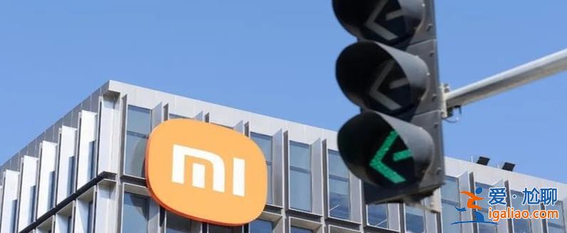 小米集團怎么了手握1276億 玩命囤糧？