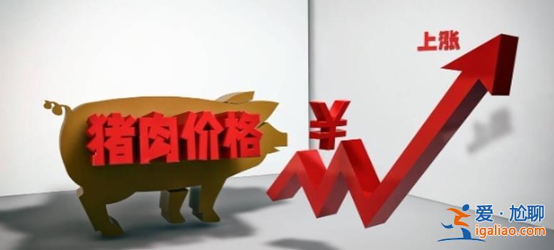 豬市如何 年內第三輪豬肉收儲啟動 豬價短期繼續低位運行？