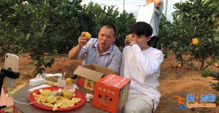 直播一周賣完自家上萬斤 收入翻倍？