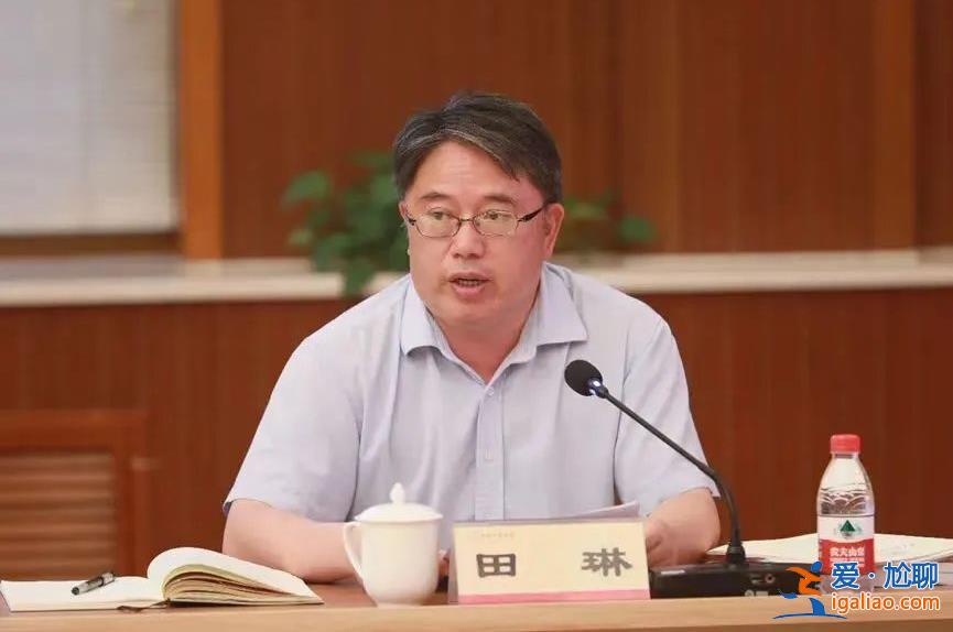 田琳被拿下!曾在2005年通過公選進京工作? 田琳被拿下!曾在2005年通過公選進京工作?