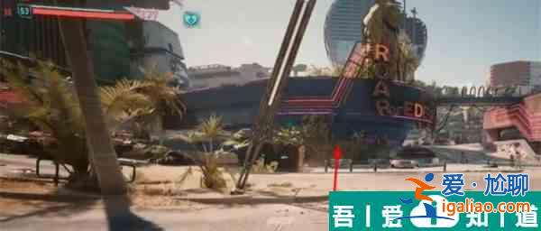 賽博朋克2077九尾X？