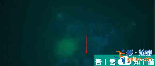 賽博朋克2077九尾X？