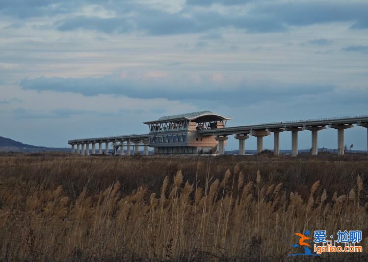 青島一地鐵站建成近六年未啟用 耗資不菲的地鐵站為何閑置？？
