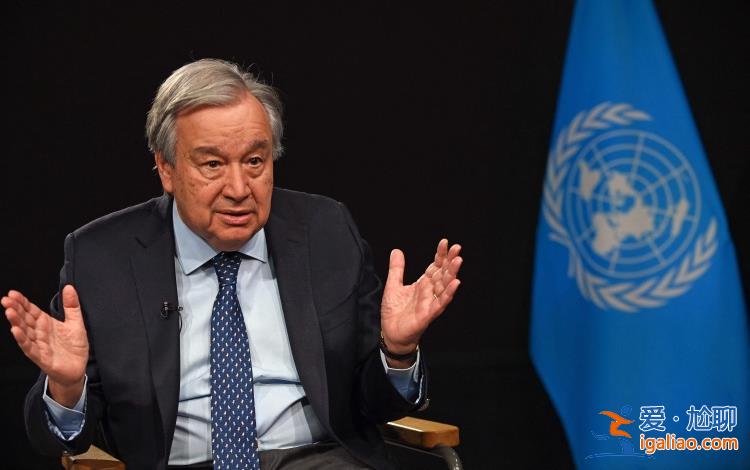 持續(xù)交火!本輪巴以沖突已致雙方超1.73萬人死亡 聯(lián)合國秘書長再次呼吁人道主義停火? 持續(xù)交火!本輪巴以沖突已致雙方超1.73萬人死亡 聯(lián)合國秘書長再次呼吁人道主義停火?