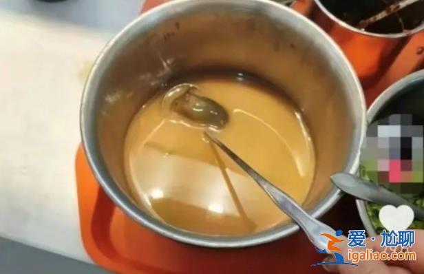 揚州某學(xué)校食堂為什么會有老鼠，在食堂麻醬盆中發(fā)現(xiàn)的[麻醬盆]？
