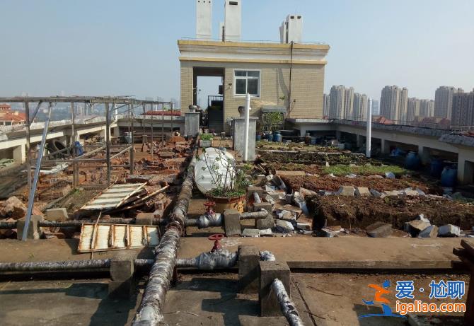 長沙老人把小區樓頂“開墾”成菜園 規模巨大震驚鄰居 目前正清除？