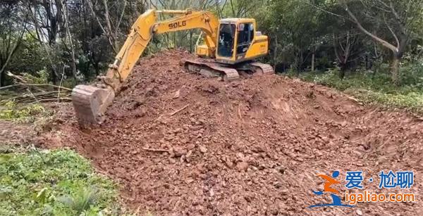 男子鏟毀自家林地建養(yǎng)豬場為什么會被判刑，非法占用林地[自家林地]？