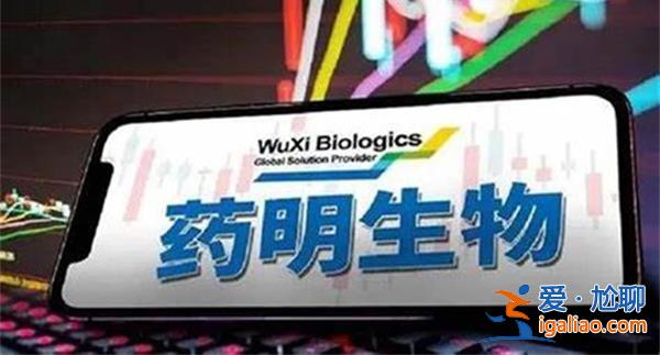 藥明生物全年業(yè)績不及預(yù)期，醫(yī)藥外包行業(yè)國際競爭日益激烈[日益激烈]？