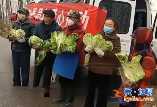 河南某地疑似讓老人寒風中捧白菜擺拍 當地天氣寒冷？