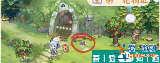 奧比島手游暗夜襲擊理真誘拐事件怎么過 具體一覽？