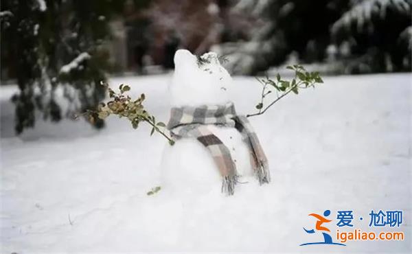 第一批堆雪人的已經卷起來了嗎 一整個震撼住？