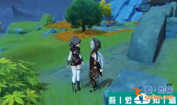 原神寶兒姐身份位置在哪里 原神寶兒姐身份位置介紹？