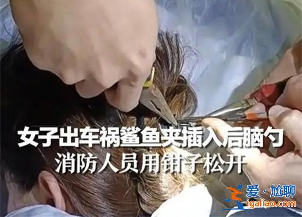 女子出車禍鯊魚夾為何會(huì)插入后腦勺，夾子為什么插入后腦[插入后腦]？