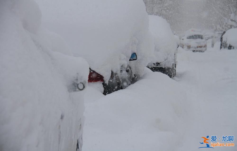 威海的雪有多大？積雪深達74厘米！再破紀錄？