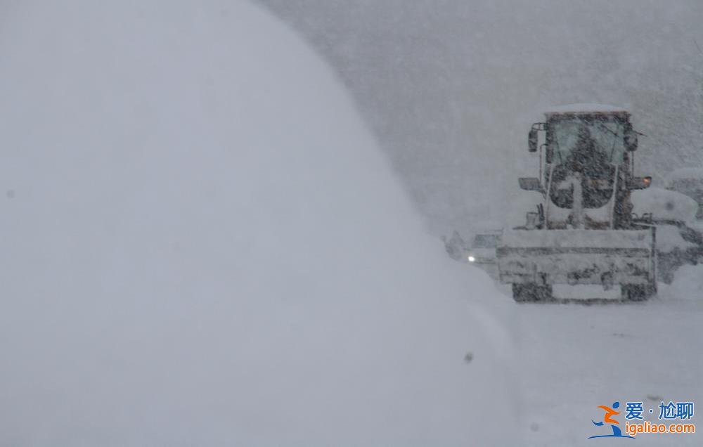 威海的雪有多大？積雪深達74厘米！再破紀錄？