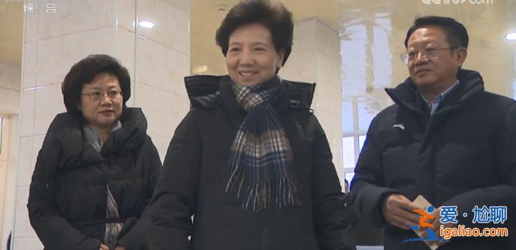諶貽琴時(shí)隔兩個(gè)月再赴東北 又一次關(guān)注這項(xiàng)重要工作？