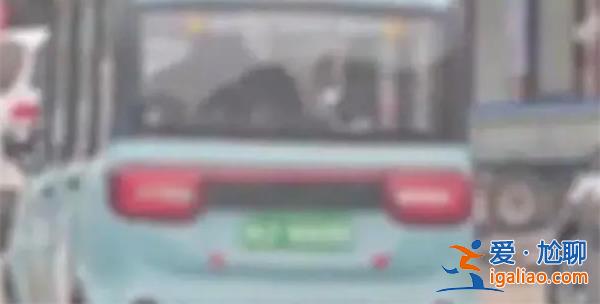 老頭開老頭樂撞死女老師[死女老師]？