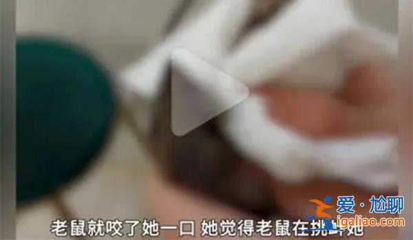 女子遭老鼠咬傷后反咬一口？