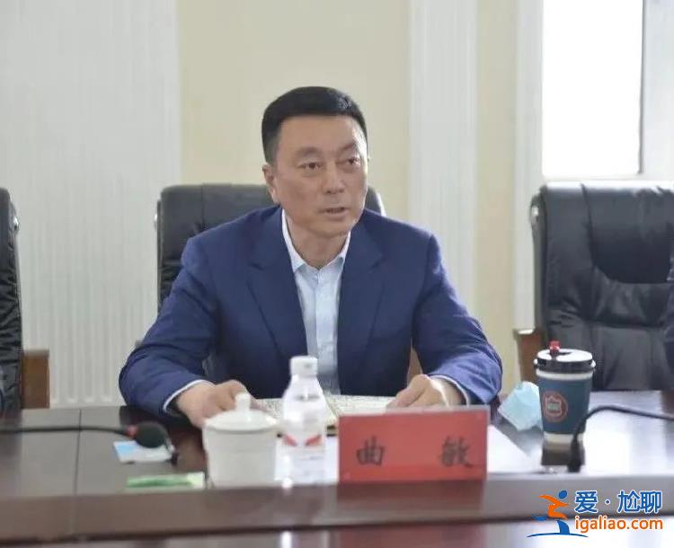 違規(guī)選任干部并受賄 黑龍江省政協(xié)原副主席曲敏被決定逮捕！？