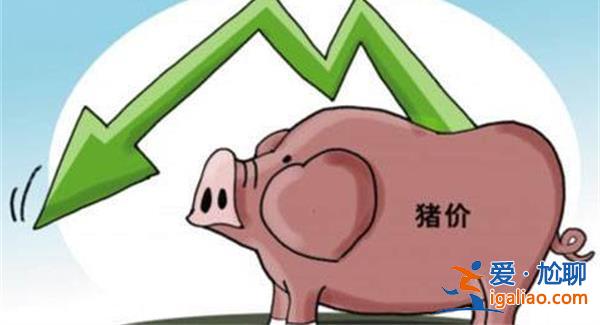 豬價(jià)跌入歷史冰點(diǎn)，何時(shí)迎轉(zhuǎn)機(jī)，豬價(jià)跌到“底”了嗎[豬價(jià)是否到底]？