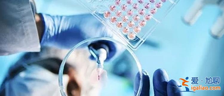 License out爆發創新藥研發和投資再怎么走 創新藥的收益在哪？