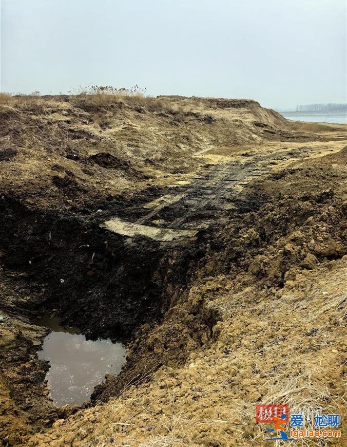 江蘇東海縣一水庫庫區(qū)被填埋大量黑色固廢 現(xiàn)場散發(fā)惡臭 有人被拘留？