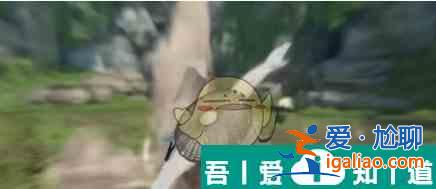 逆水寒手游白猿公八蛸木怎么獲取 獲取攻略？