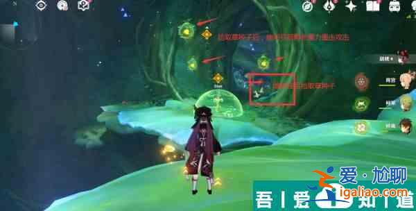 原神通往黯道的曲調三個草種子位置在哪里 位置一覽？