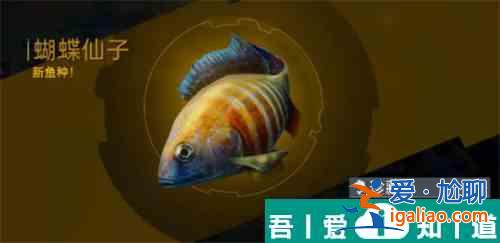 星球重啟釣魚震動(dòng)怎么關(guān)閉 釣魚震動(dòng)關(guān)閉方法一覽？