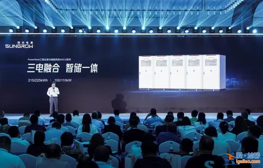 全球光儲巨頭發力國內工商業儲能市場 陽光電源有何舉動? 全球光儲巨頭發力國內工商業儲能市場 陽光電源有何舉動?