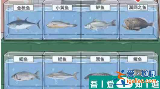 這不是漢字幫助高啟墻打理好販魚攤通關(guān)攻略 具體一覽？
