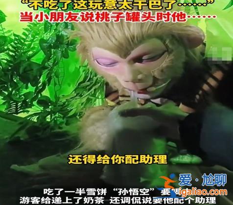 游客給悟空喂雪餅被嫌棄太干不吃 真的不好吃么？