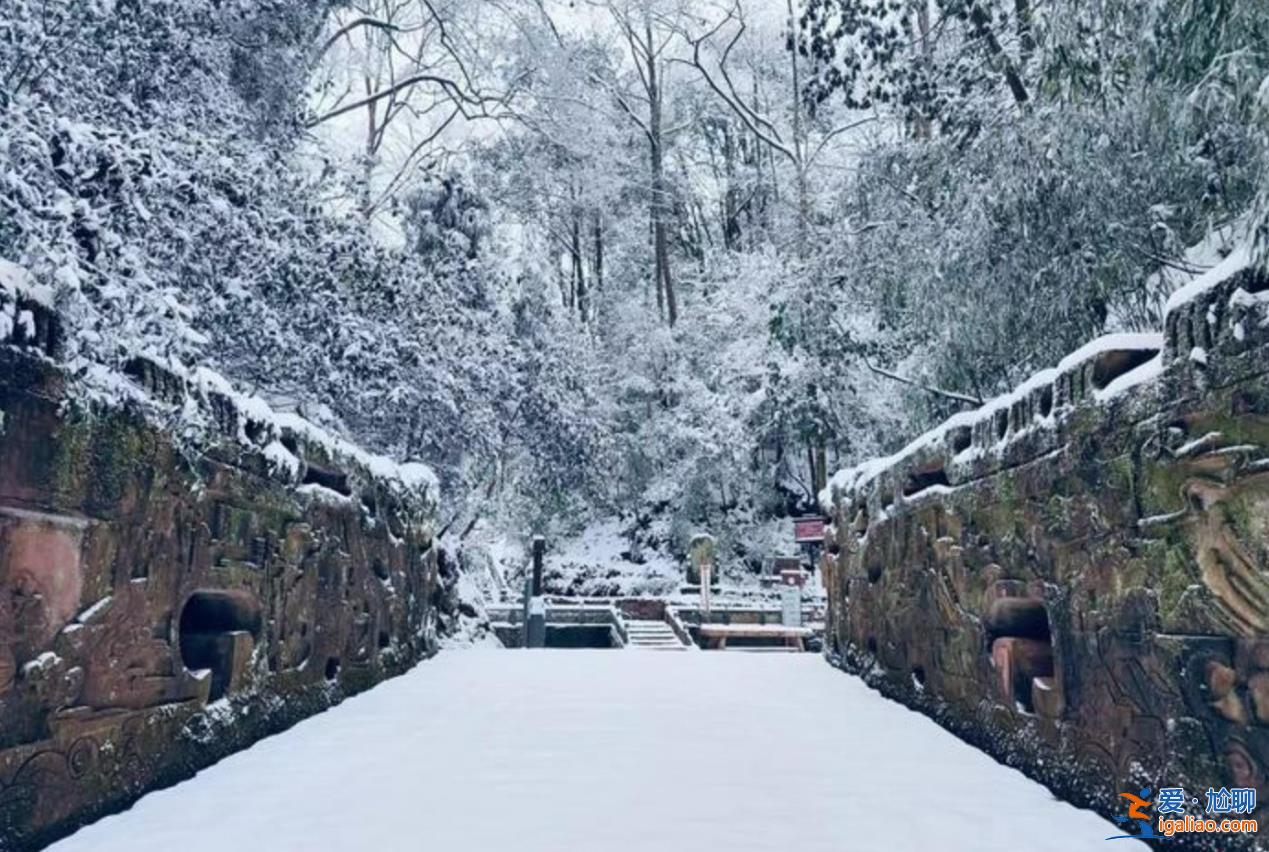 四川蒙頂山景區“一夜白頭”，景區發生了什么[雪地]？