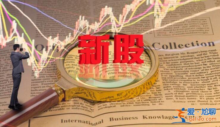 新股的漲幅為何是44%  原因分析如下？