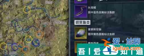 星球重啟紫眼刺空裂魚位置 具體一覽？