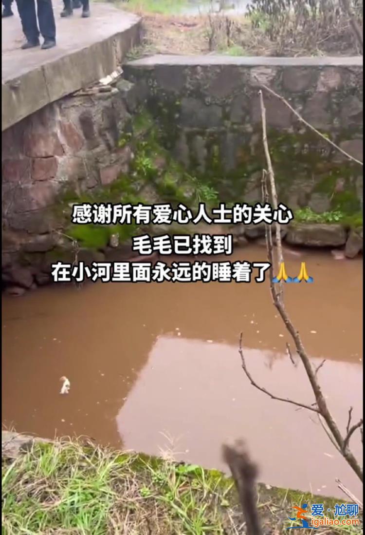 兩歲男童回湖南衡陽老家失蹤 24小時后遺體在家門口河中被發現？