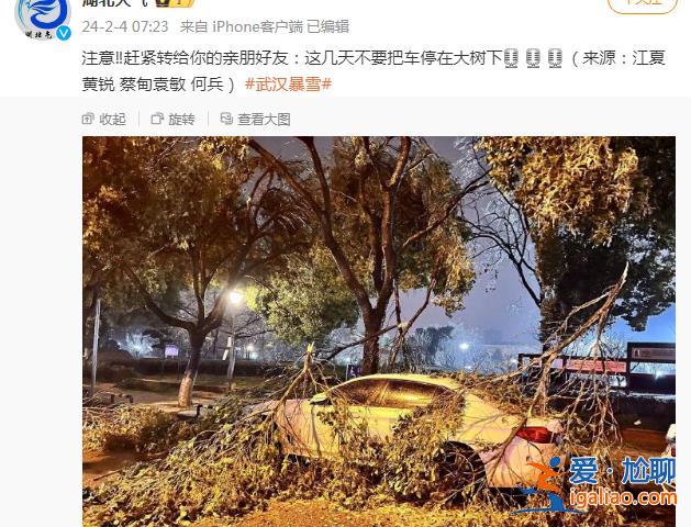 武漢機(jī)場(chǎng)跑道關(guān)閉、列車停運(yùn) 有人從上海回貴州開(kāi)了三天? 武漢機(jī)場(chǎng)跑道關(guān)閉、列車停運(yùn) 有人從上海回貴州開(kāi)了三天?