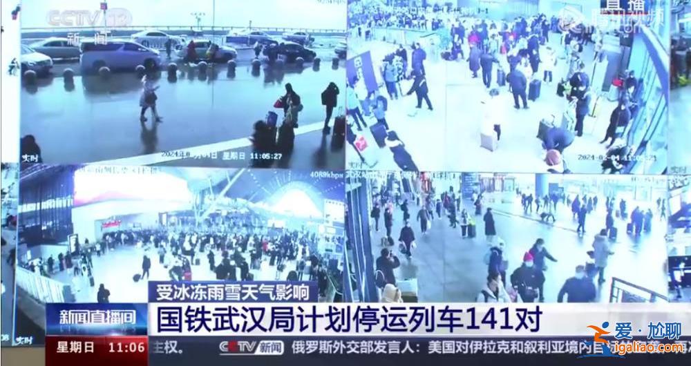有人路邊撿柴燒火取暖 有人翻圍欄覓食？