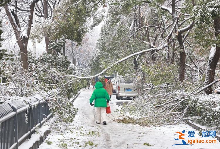 為何導致交通陷入癱瘓？除冰難度有多大？解讀湖北暴雪凍雨的幾大疑問？