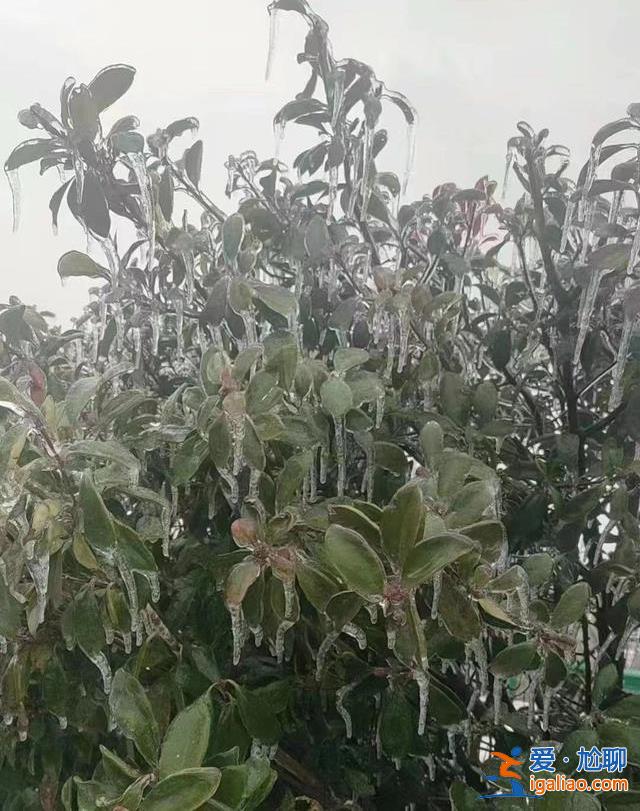 為何導致交通陷入癱瘓？除冰難度有多大？解讀湖北暴雪凍雨的幾大疑問？